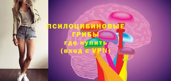 гашиш Дмитров