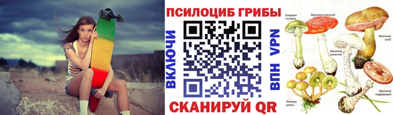 Купить где  Нижняя Салда  Псилоцибиновые грибы мухоморы 