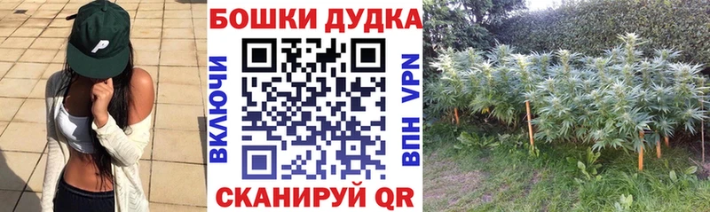 Купить  Нижняя Салда  МАРИХУАНА Bruce Banner 